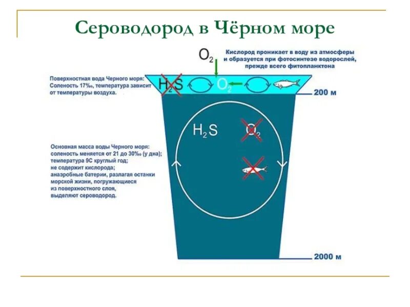 Определение сероводорода в воде