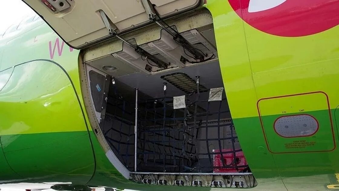 VQ-BGW Boeing 737-8 MAX S7 Airlines Svetlana Balaeva JetPhotos