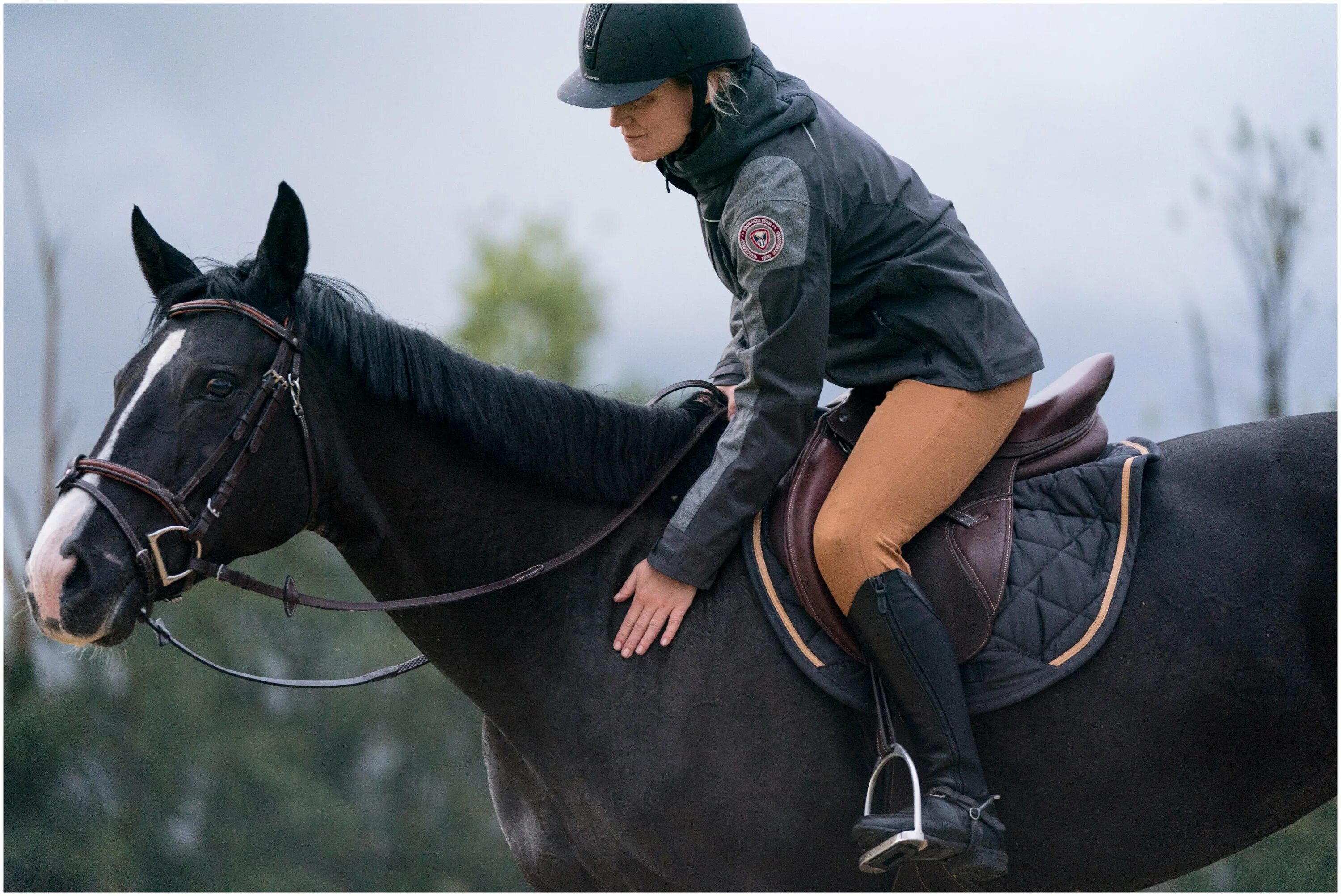 экипировка для конного спорта. экипировка для конного спорта. шлем pikeur для верховой езды. экипировка наездника на лошади. экипировка для конного спорта.