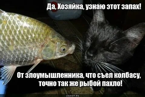Запах рыбы у мужчины причины