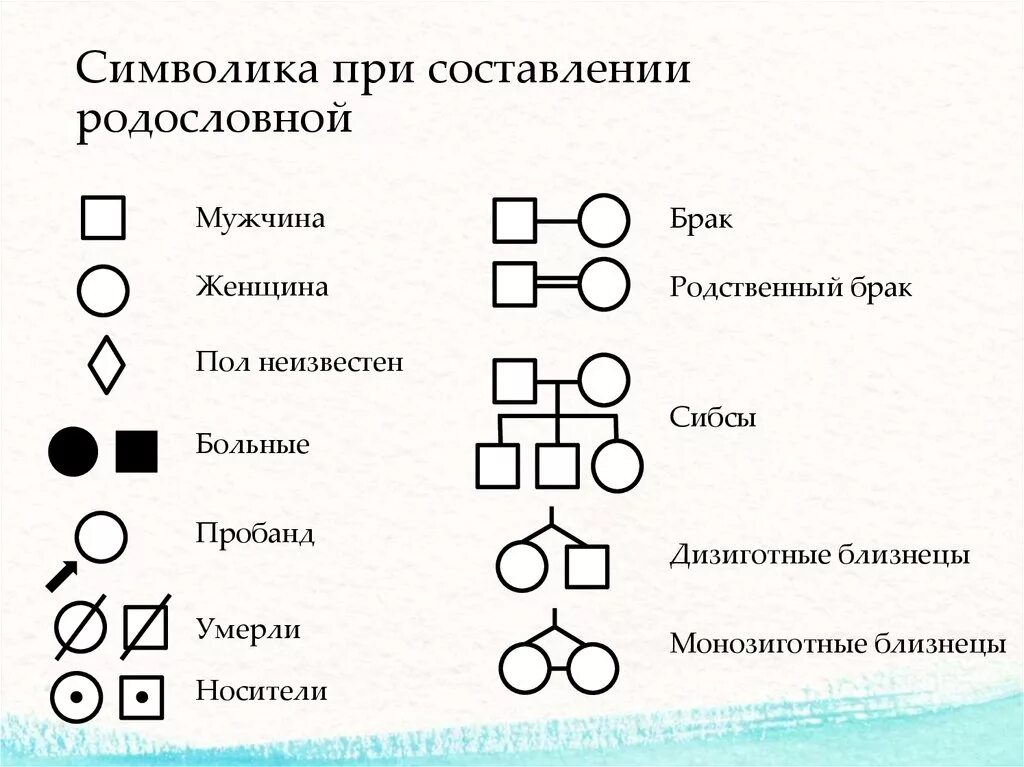 Символы генетики 10 класс. Основная схема генеалогического метода. Генеалогический метод схема.