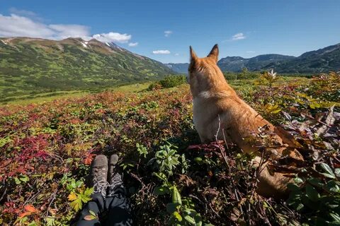 Камчатка в августе