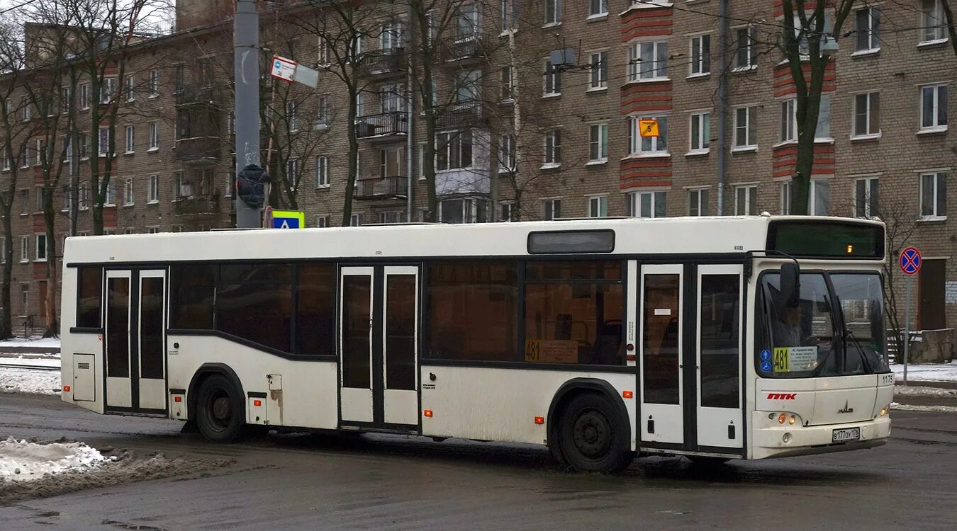 Маз 203 домтрансавто. 6004 (птк) по №98 (06. 485 салон. Автобус 6004 по 98 петербурга 10 *** маз -103. Автобус 481 автово.
