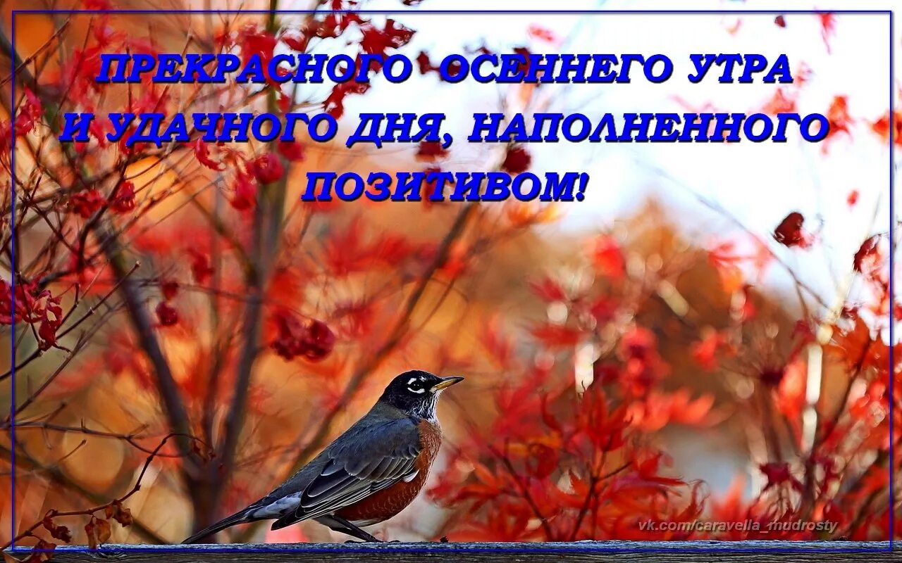 С добрым осенним утром четверга. Доброе осеннее утро четверга. С добрым осенним субботним утром. Доброе о, еннее утро четверга.