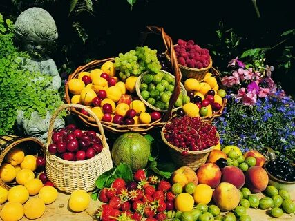 Fruit сайт