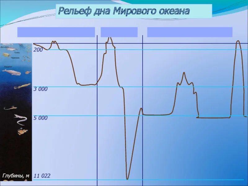 Форма рельефа дна океана. Рельеф дна мирового океана. Рельеф дна мирового океана схема. Рельеф дна мирового океана рисунок. Рельеф дна океана схема.