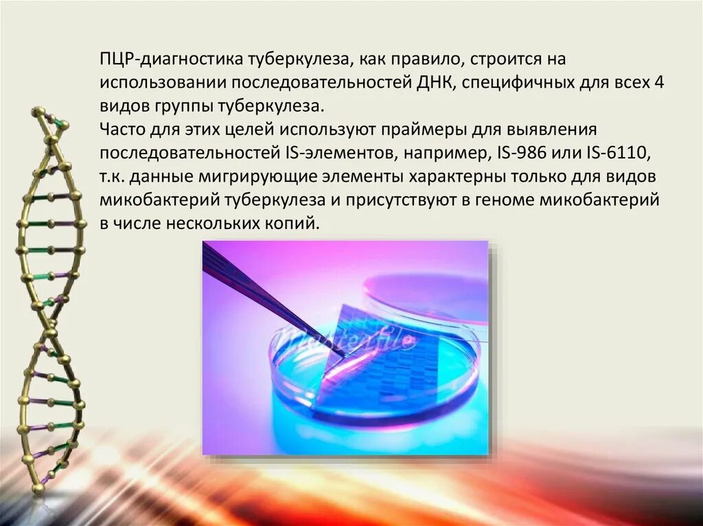 Диагноз методом пцр. Пцр. пцр-диагностика туберкулеза. пцр туберкулез. туберкулез диагностика пцо.