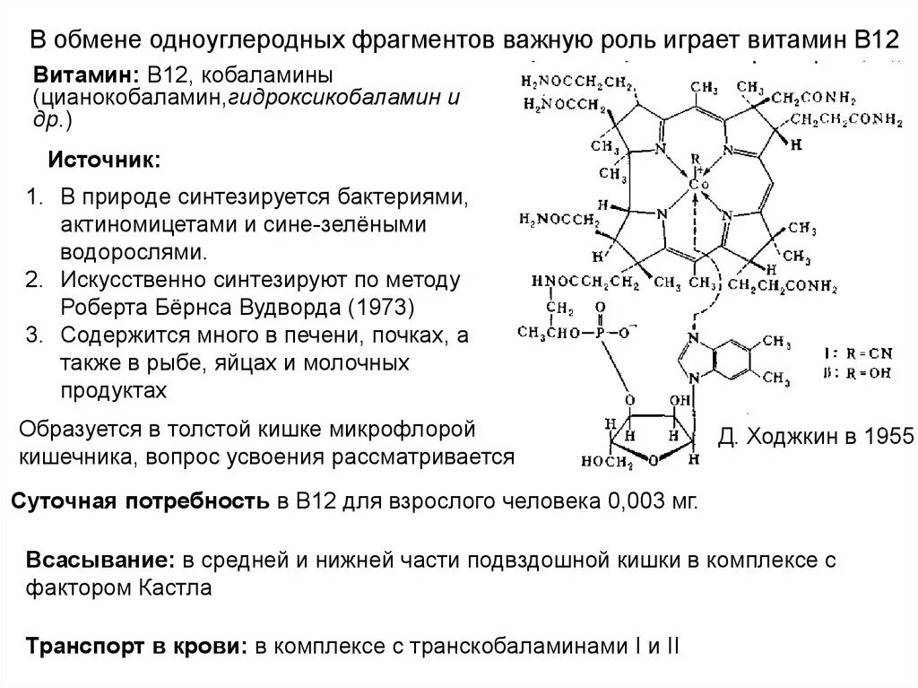 Обмен витаминов биохимия. Витамин б12 биохимические функции. Структура витамина в12. Химическая структура витамина в12. Функции витамина в12 кратко.