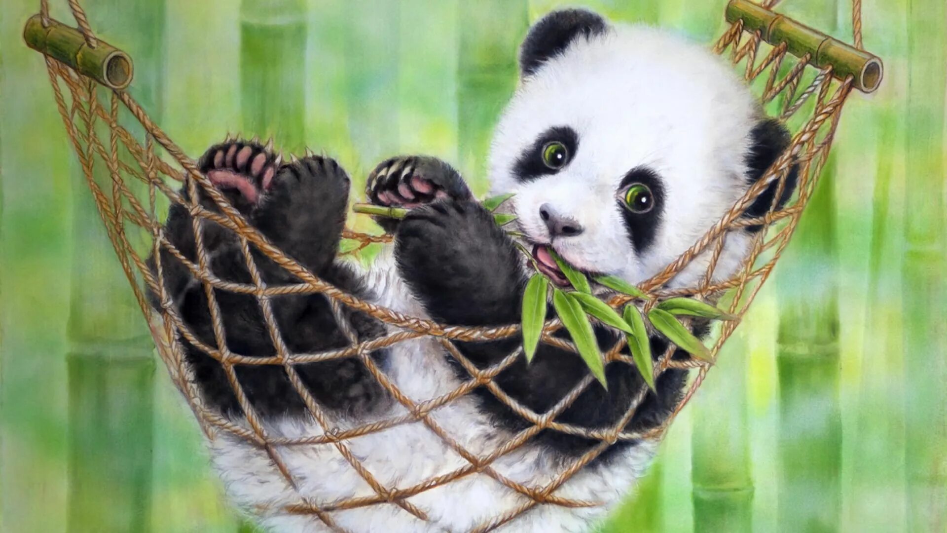 Пинь-Пинь Панда. Милые панды. Картинки на рабочий стол животные. Панда обои.