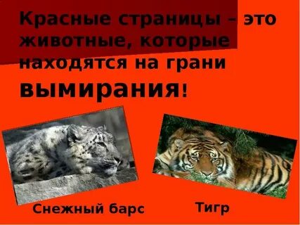 Находятся на грани вымирания