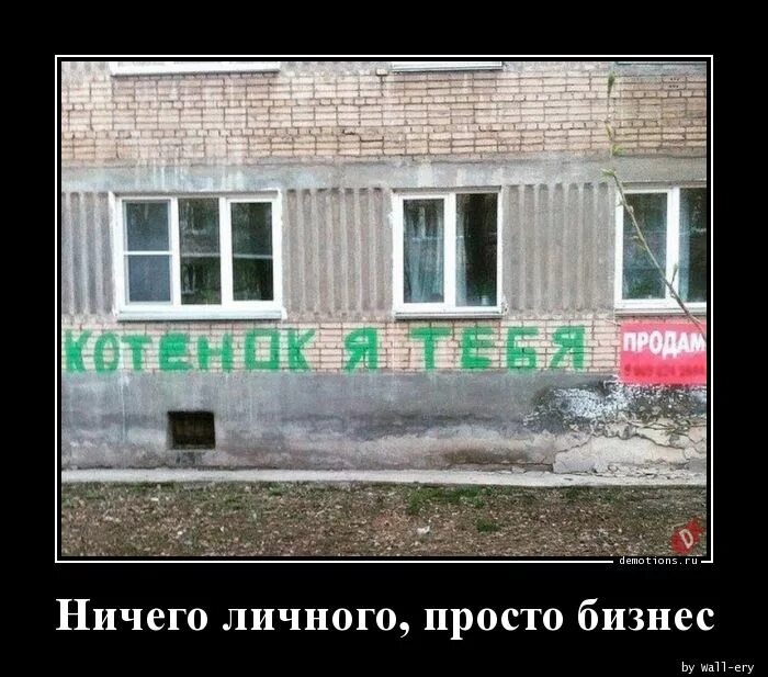 Ничего личного посад. Котенок я тебя продам. ничего личного просто бизнес. котенок я тебя продам мем. мем котик я тебя продам.