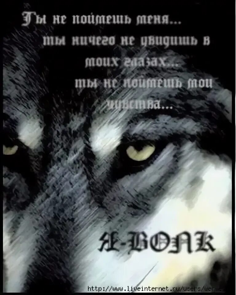 Одинокие Волки - 17 августа 2014 в 15:43