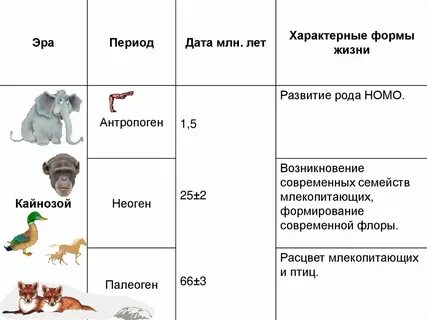 Формы жизни егэ