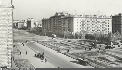 Старый сокол