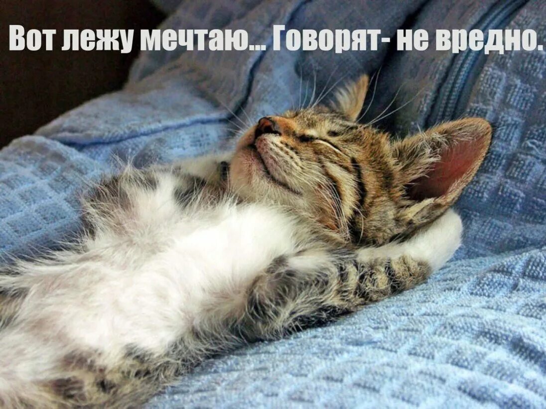 Отлично легла фото