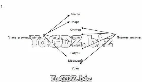 Укажи стрелками к каким группам