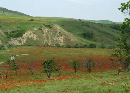Приморская низменность