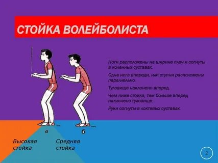 Низкая стойка
