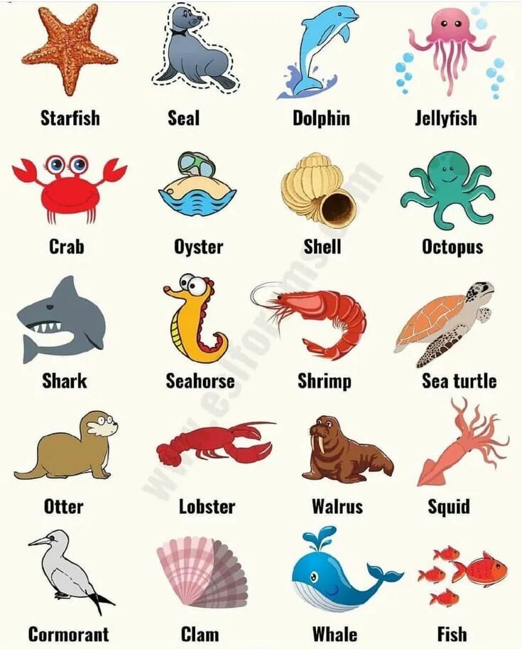 Английские слова рыба. Морские обитатели на английском. Sea animals Vocabulary in English. Морские животные на англ. Названия морских животных на английском.
