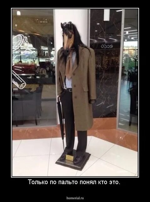 Не то пальто выражение. Смешное пальто. конь в пальто юмор. пальто юмор. конь в пальто прикол.