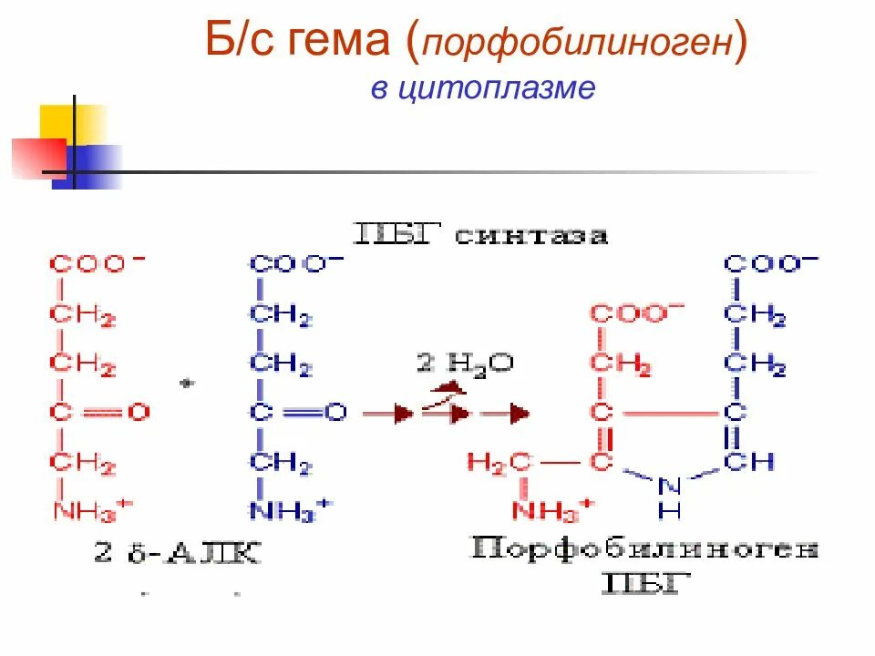 Синтез гему. Порфобилиноген. Реакция образования порфобилиногена. Синтез гема биохимия. Синтез порфобилиногена.