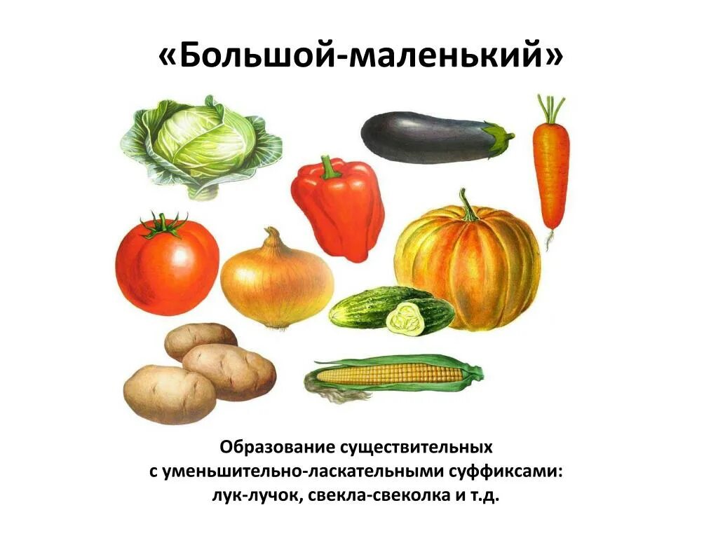 Имена существительные овощи. Назови одним словом. Назови одним словом для дошкольников. Задание назови одним словом. Назови одним словом задания для дошкольников.