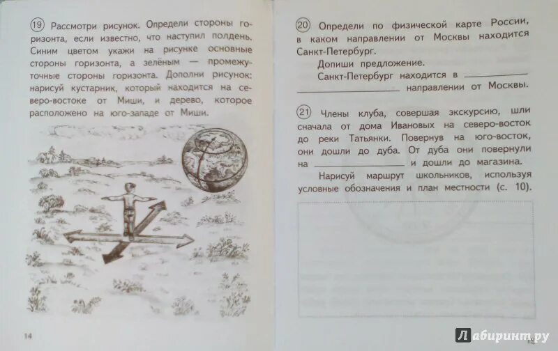 Рассмотрите рисунок и определите направление в. Федотова окружающий мир 3 класс. Рассмотрите картинку и определите, где находится Восток. Определи стороны горизонта если известно что наступил полдень. Окружающий мир 1 класс тетрадь для самостоятельной работы.