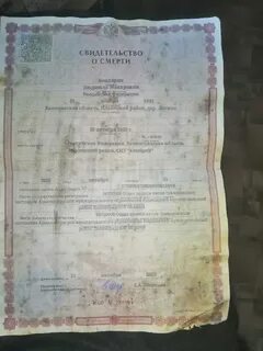 Пришлите свидетельство