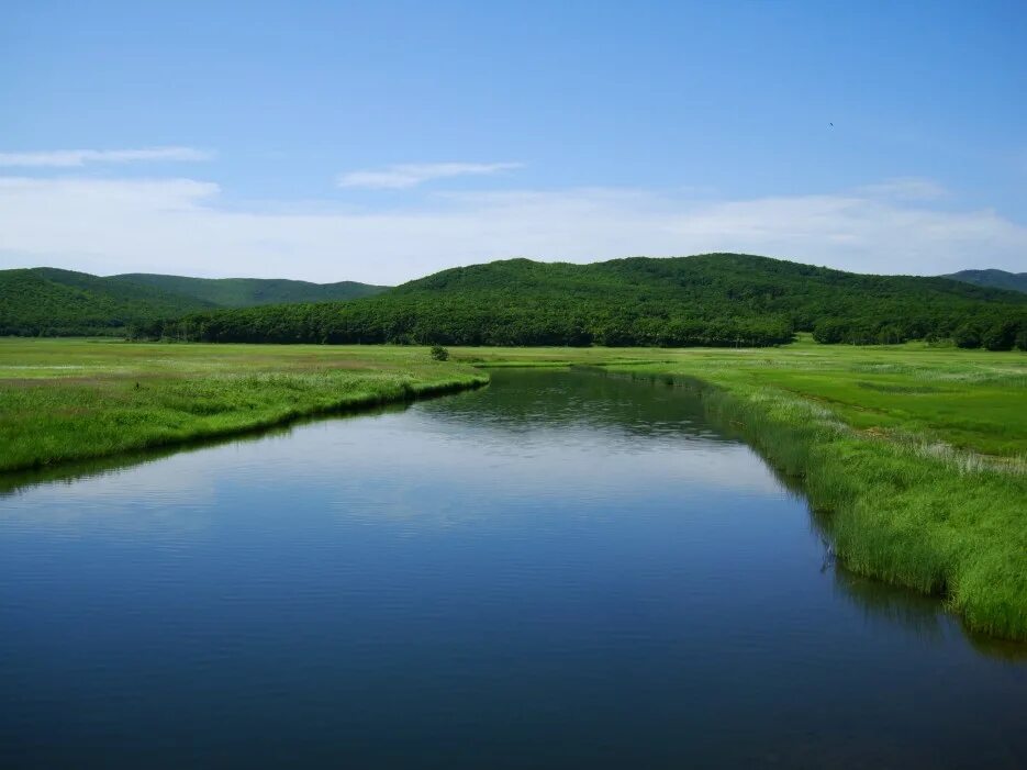 озеро ханка приморский край фото. бухта безымянная приморский край дунай. пресные озера дальнего востока. озеро ханка приморский край фото. бухта безымянная фокино.