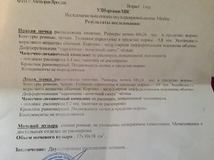 Размеры почек на узи норма у взрослых