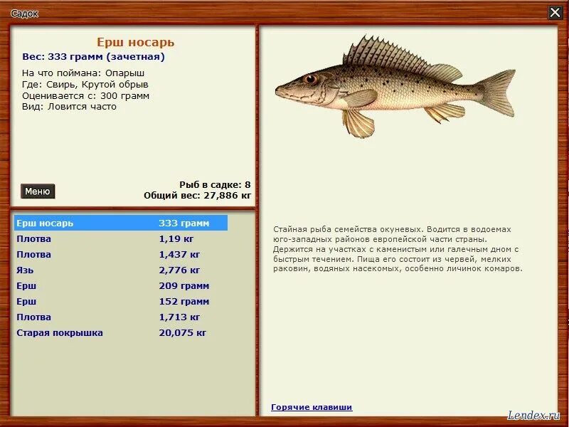 Русская рыбалка носарь. Русская рыбалка 3 Свирь Ерш носарь. Ерш носарь. Русская рыбалка 3 Свирь Ерш. Ерш рыба вес.