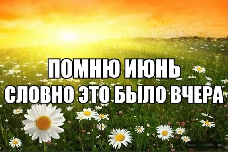 В июне бывает день