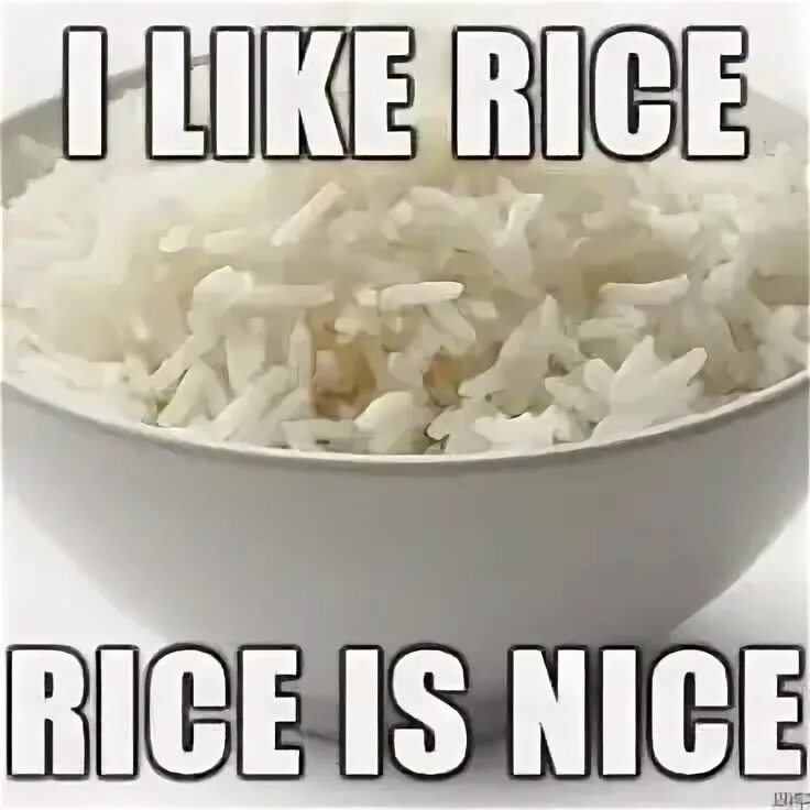 I like rice. Омлет с рисом. I like rice. Countable and uncountable nouns презентация. Рис в белой тарелке на белом фоне.