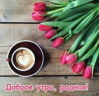 Утро тюльпаны
