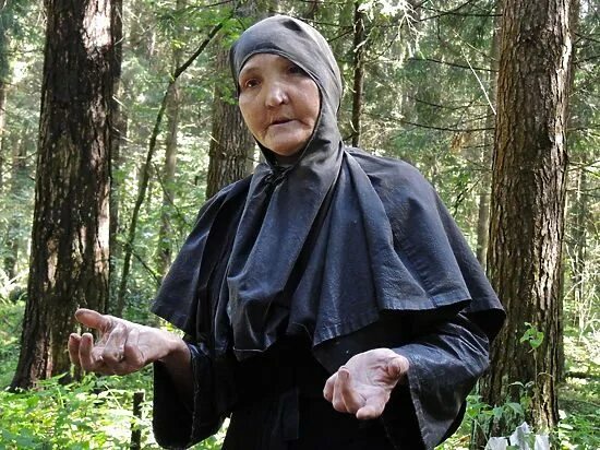 старых женщин в лесу. бабушка с грибами. бабушка в лесу. женщина собирает ягоды. старых женщин в лесу.