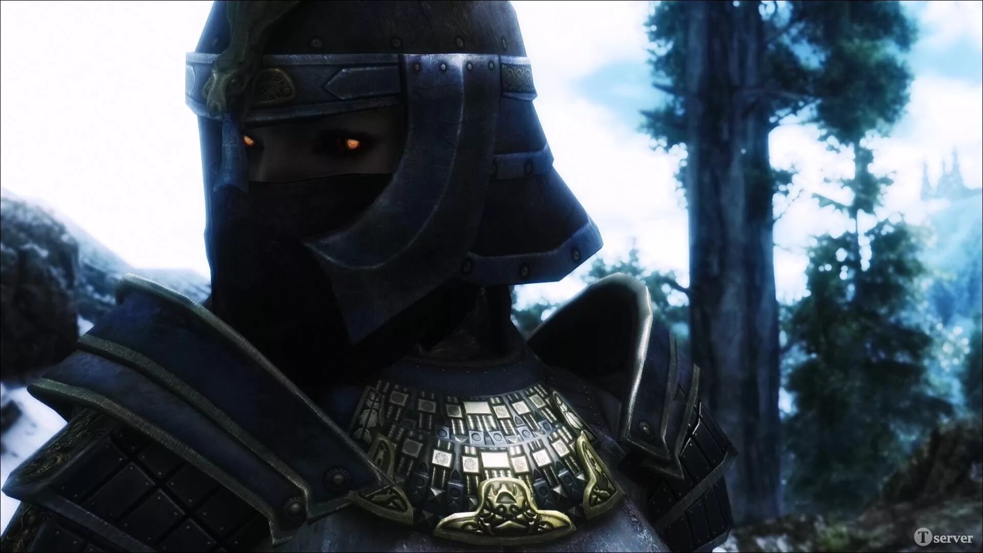 Кираса братьев бури. Skyrim хитиновая броня. Имперский шлем скайрим. Маска клинков скайрим. Скайрим броня шлем череп.