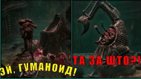 Эй мадам ты умна