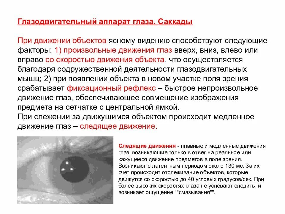 Патология глазодвигательного аппарата глаза. Временные характеристики движения глаз. Плавные движения глаз. Методы исследования глазодвигательного аппарата. Почему глаза двигаются