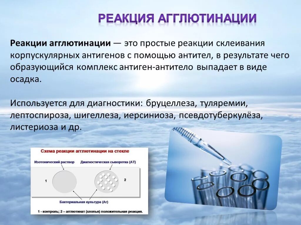 Серологические исследования что это. Серологические исследования реакции агглютинации. Реакция агглютинации инфекции. Реакция агглютинации применяется для. Реакция агглютинации применяется в диагностике.