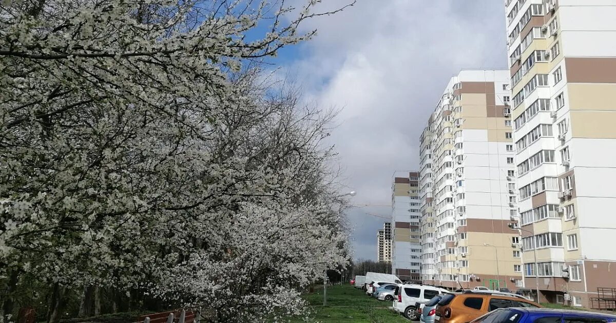 Какая погода в апреле в краснодаре. Краснодар в апреле. Ледяной дождь. Краснодар в апреле фото. Ледяной дождь Россия.