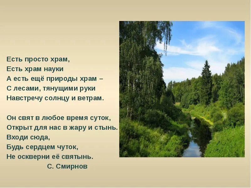 Стихи о красоте природы. Стихи о лесе. Любое стихотворение о природе. Стихи о природе короткие. Поэзия о лесе