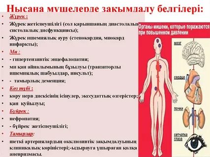 Интернетке арналған қазақша мегалайн порно