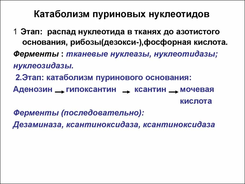 Схема распада пуриновых нуклеозидов. Катаболизм пуриновых нуклеотидов. Патологии пуринового обмена. Реакции катаболизма пуриновых оснований до мочевой кислоты. Катаболизм пуриновых нуклеотидов ферменты.