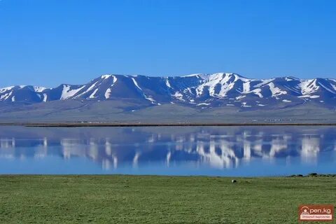 Куль 4 буквы