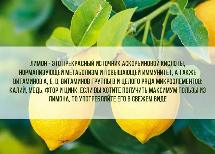 Полезные свойства ьемона. Польза лимона. Лимон полезные вещества. Лимон полезные качества. Польза лимона кратко.