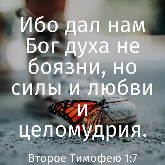 Бог дух любви. Ибо дал нам Бог духа не боязни. Ибо дал нам Бог духа не боязни но силы и любви и целомудрия. Не дал нам Бог духа не боязни но силы и любви. Христианские цитаты.