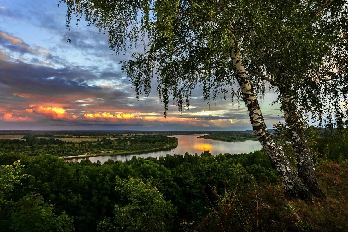 Родной край нижегородской области. Река Ока во Владимирской области. Река Ока в Меленковском районе Владимирской области. Окшово Меленковский район. Река Ока Меленковский район.