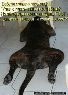 Немного упал