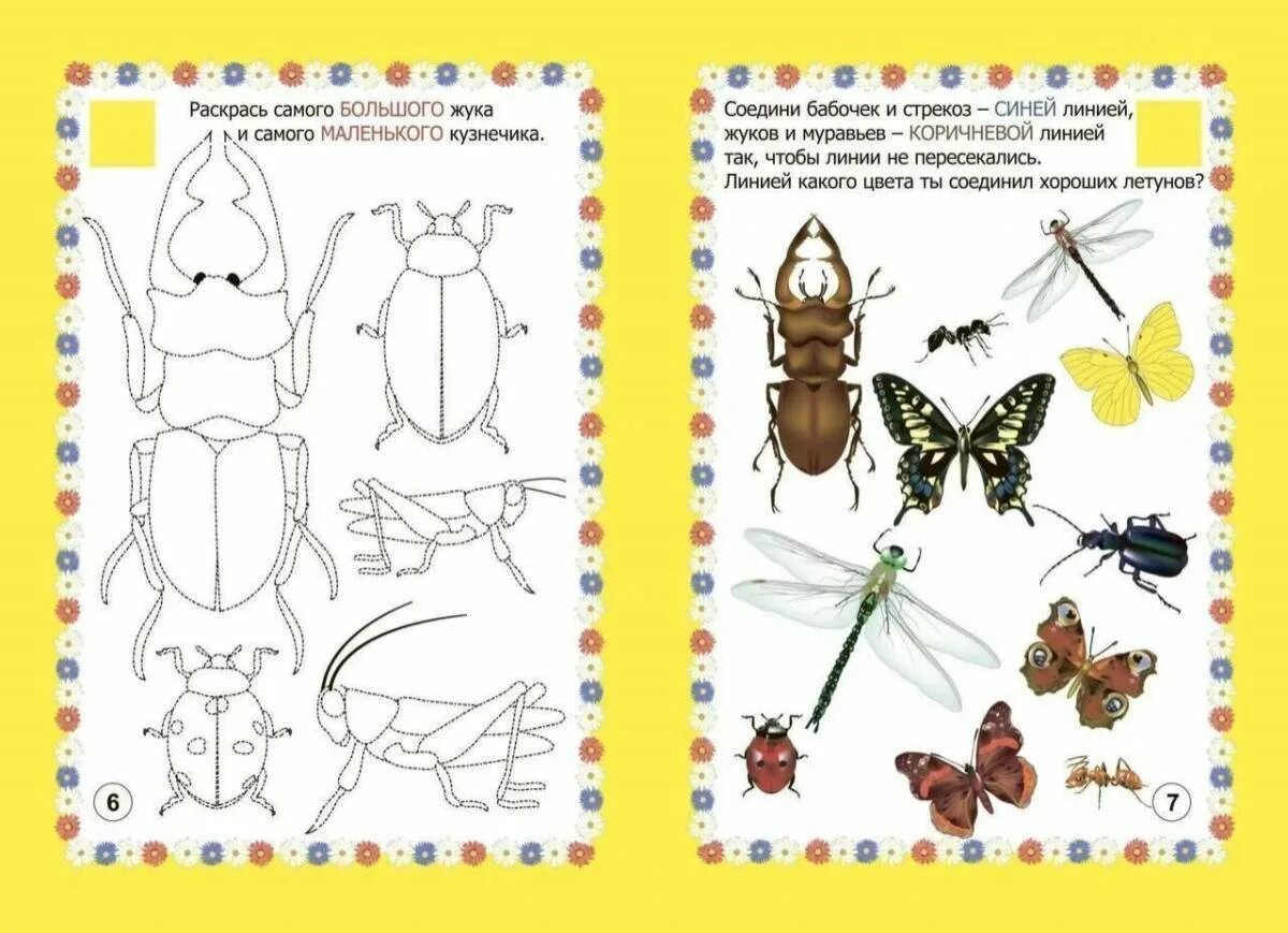 Насекомые задания для детей. Насекомые задания для дошкольников. Насекомые задание для детей 4 лет. Насекомые логопедические задания для дошкольников. Насекомые детям 5 6 лет