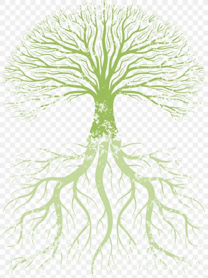 Род корневых 1. Родовое Древо корни рода. Корни дерева. Дерево жизни рисунок. Ветвистое дерево с корнями.